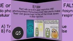 Cellular Respiration: Before the Bell Biology Instructional Video