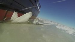 Weather Things: Ocean Influence Instructional Video