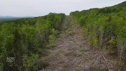 Drone of Maine hydro project News Clip