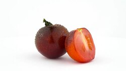 One whole and one half of indigo rose tomatoes with water drops. Dark red color. Rotating on the turntable isolated on the white background. Close up. Macro. Stock Footage