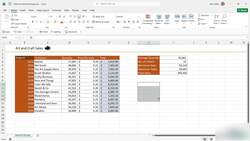Microsoft Excel 2021365 - Beginner to Advanced - What Are Named Ranges? Instructional Video