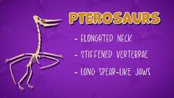 I WONDER - How Did The Quetzalcoatlus Eat? Instructional Video