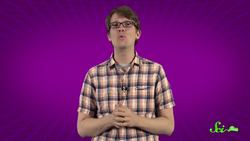 SciShow: Bees Compilation Instructional Video