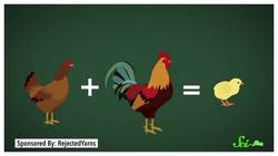 Why Are Mules Sterile? Instructional Video