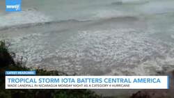 Newsy's Latest Headlines News Clip