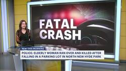 Police: Senior woman fatally run over by vehicle in North New Hyde Park Instructional Video