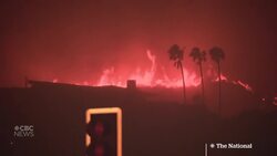 Winds fuel Malibu wildfire’s rapid spread News Clip