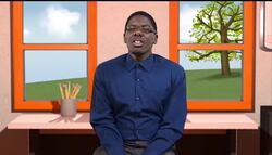 Comparing and Contrasting 2-Dimensional Plane Figures Instructional Video