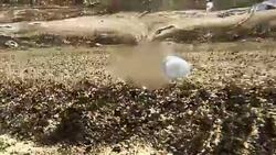 Plastic pollution in sea Stock Footage