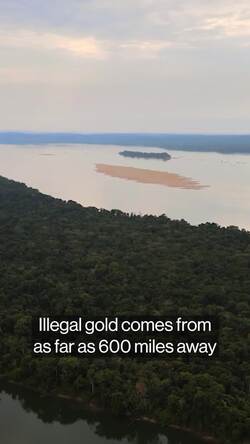 Gold's Price Surge Drives Narcos Into Illegal Mining in the Amazon News Clip