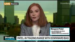 Margie Patel Sees No 'Dynamic Rebound' for Stocks News Clip