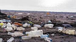 I WONDER - How Can Recycled Plastic Be Reused? Instructional Video