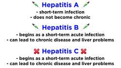 Hepatitis A (Hepatovirus A) Instructional Video