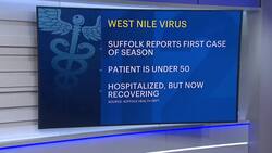 Suffolk health officials confirm season's first human case of West Nile virus News Clip