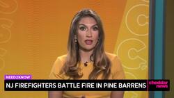 Wildfires Spark in New Jersey Pine Barrens News Clip