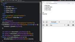 HTML CSS and JavaScript for Beginners - A Web Design Course - List Project Exercise Input: Add New Element Instructional Video