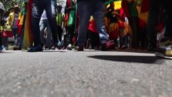 CLEAN : Ethiopians protest in Pretoria against foreign 'interference' News Clip
