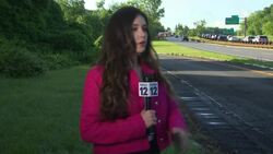 Driver airlifted to hospital after crash on Palisades Parkway ramp in Bardonia News Clip