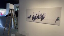 CLEAN : Chile prepares first stop of Banksy tribute exhibitions in Latin America News Clip