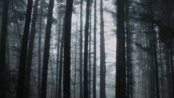 The Celts Instructional Video