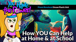 "Hey No More Ocean Plastic" Music Video Instructional Video