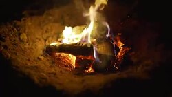 Burn fire with wood on beach camp Stock Footage