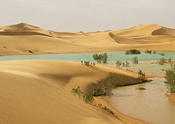 Extreme Living: The Sahara Instructional Video