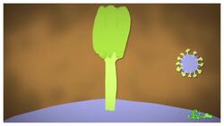 Could we Have Universal Flu Vaccine? Instructional Video