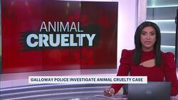 Police: 25 dogs, 1 cat found living in poor conditions in Galloway News Clip