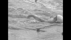 Swimming competition in Coral Gables, FL News Clip