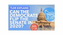 A Democratic Trifecta? Can Democrats win the Presidency, Senate & House? - TLDR News Instructional Video
