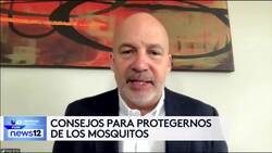 Univision 41 News Brief: Mujer es baleada dentro de auto en el Bronx News Clip