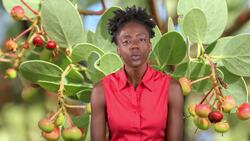 Harnessing the Power of Fire: The Role of Controlled Burns in Forest Management Instructional Video