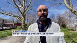 Brooklyn dog owners reopen conversation with city on Sunset Park off-leash hours News Clip
