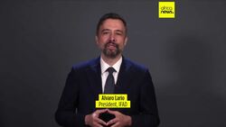 Migrant workers sent US$685 Billion in remittances to families in 2024 News Clip