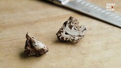 The Forbidden Delicacy: False Morel in Finland Instructional Video