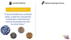 Which should you choose? Scientific Method versus Engineering Design Process Instructional Video