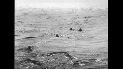 United States, c.1951: Members of the crew of the Navy, jump off a submarine to rescue stranded passengers after a helicopter crashes into the sea Stock Footage