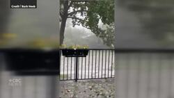 Large hail, strong winds pound parts of Calgary and surrounding area News Clip