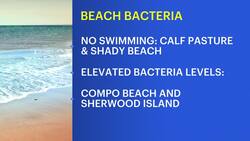 Officials: Norwalk Calf Pasture, Shady beaches closed to swimmers through Thursday News Clip