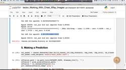Evaluate the impact of an AI application used in the real world. (case study) : Working with X-Ray images: Case Study - Part 6 Instructional Video