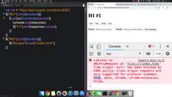 HTML CSS and JavaScript for Beginners - A Web Design Course - Load and CORS error Instructional Video