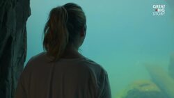 How Sea Lions Are Inspiring the Future of Underwater Transport Instructional Video