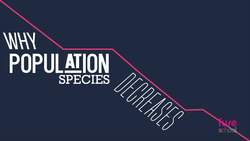 BIOLOGY - Environment - Endangered species Instructional Video