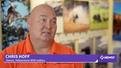 Yellowstone Works To Mend Economy, Ecosystem After Historic Flooding News Clip