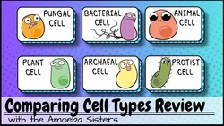 Comparing Cell Types Review: Animal, Plant, Bacterial, Archaeal, Fungal, and "Protist" Cells Instructional Video