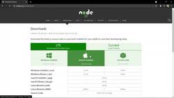 MongoDB Mastering MongoDB for Beginners (Theory and Projects) - Installing Node on Local Machine Instructional Video