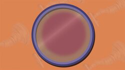 I WONDER - Do Hurricanes Only Happen On Earth? Instructional Video