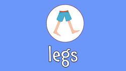 Bodies! Learn the Names of Basic Body Parts Instructional Video