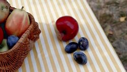 Basket with fruits in sunlight. Stock Footage